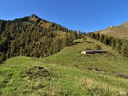 49 Ed ora , passato dal sent. 117 al 118, dal Monte Colle (1750 m) salgo al Passo di Monte Colle (1938 m)
